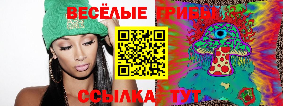Узловая  Псилоцибиновые грибы мицелий  Вход с VPN  Галлюциногенные грибы Psilocybe 